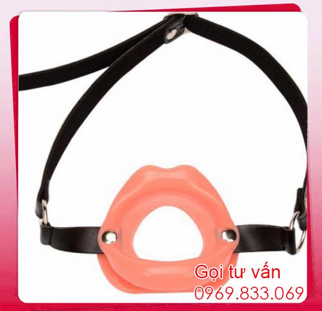 Bảng giá Khóa hàm Bạo Dâm Bịt Miệng Bú Cu  tốt nhất 