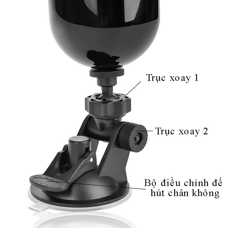 đế Cốc thủ dâm gắn tường cao cấp Leten