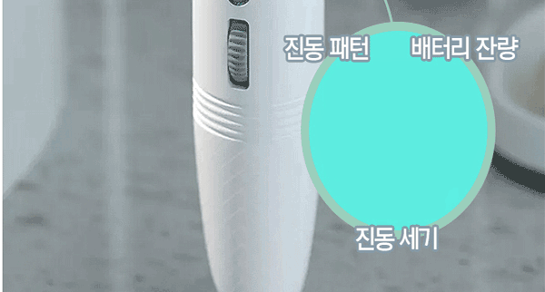 Chày rung tình yêu Cao cấp Nhật Bản Galaku