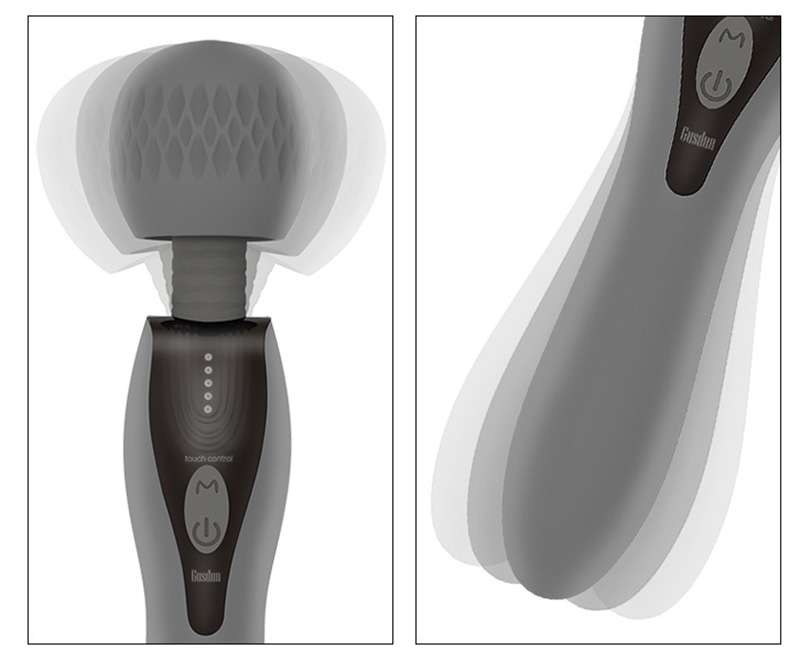 Máy rung 2 đầu đa năng Gusdun Gentleman