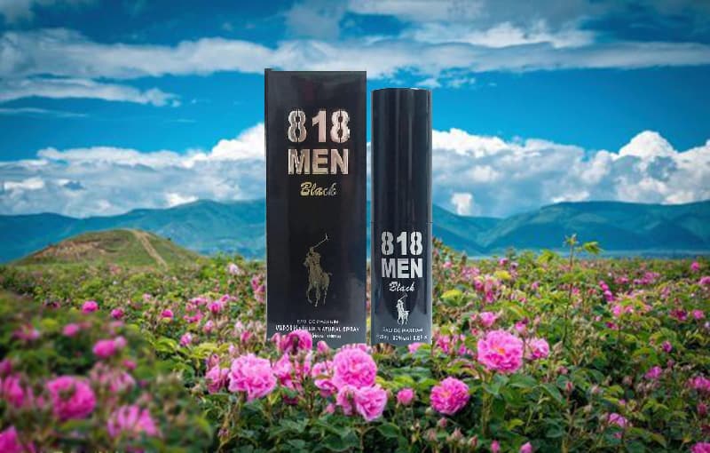 Chai xịt Men black 818 kích hưng phấn chị em