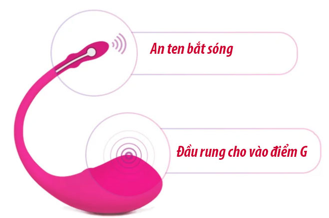 Trứng rung Lovense Lush  điều khiển bằng điện thoại