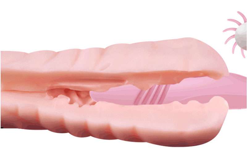 Dương vật Mannuo massage kết hợp lưỡi liếm