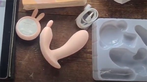 Trứng rung giống chim giả